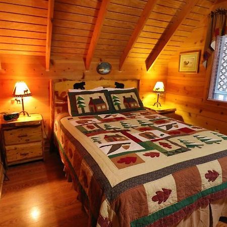 Cute Updated Mountain Cabin Fireplace #3 هيلين المظهر الخارجي الصورة