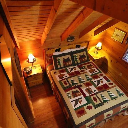 Cute Updated Mountain Cabin Fireplace #3 هيلين المظهر الخارجي الصورة