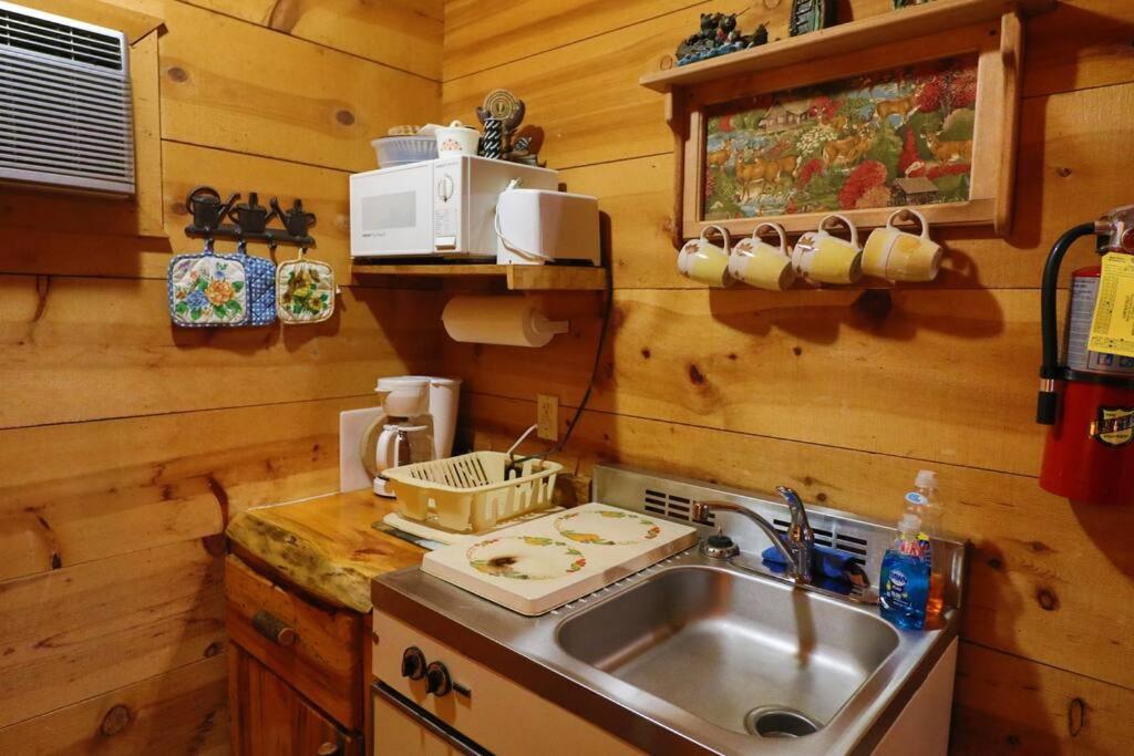 Cute Updated Mountain Cabin Fireplace #3 هيلين المظهر الخارجي الصورة