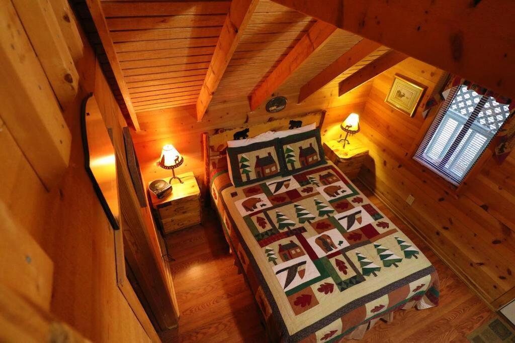 Cute Updated Mountain Cabin Fireplace #3 هيلين المظهر الخارجي الصورة